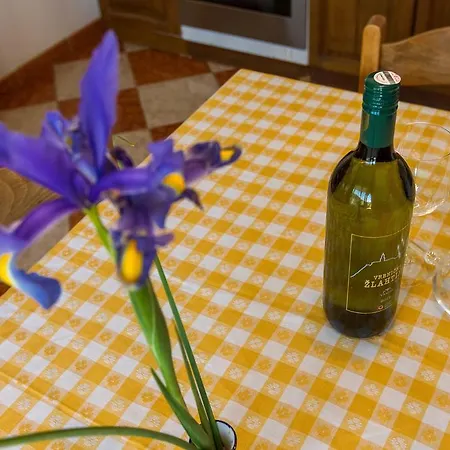 Zoric Božava
